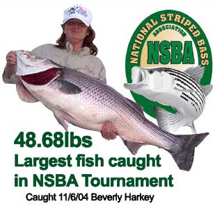 48lb Striper - Largest NSBA striper1 caught