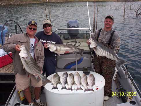 Nice Striped Bass