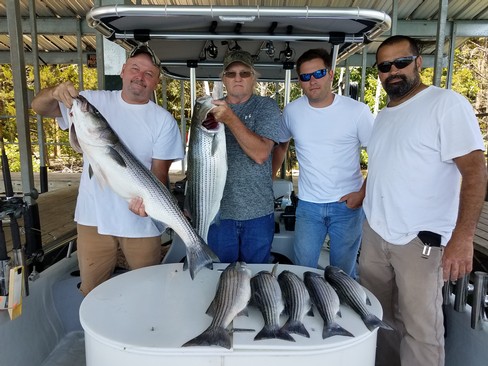 Nice Striped Bass