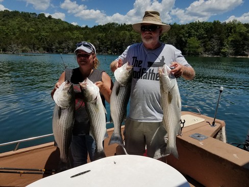 Nice Striped Bass