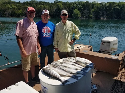 Nice Striped Bass