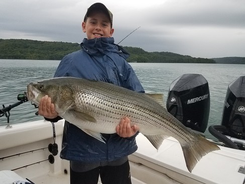 Nice Striped Bass