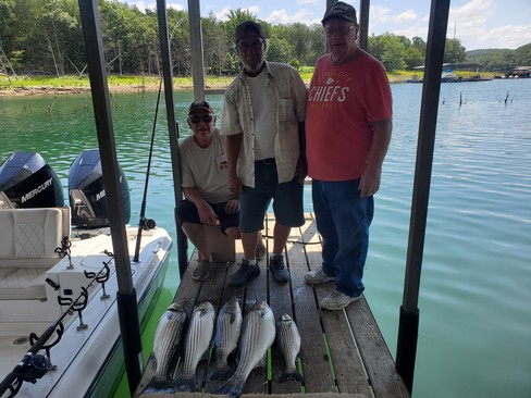 Nice Striped Bass