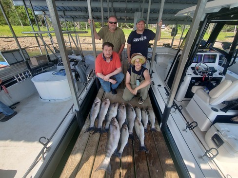 Beaver Lake Striped Bass Fishing Report Guided Striper