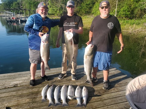 Beaver Lake Striped Bass Fishing Report Guided Striper