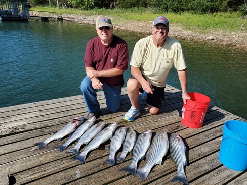 Nice Striped Bass