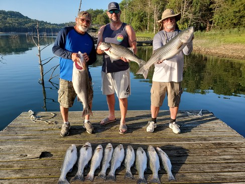 Nice Striped Bass