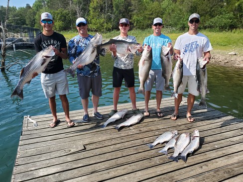 Nice Striped Bass