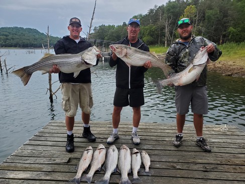 Nice Striped Bass