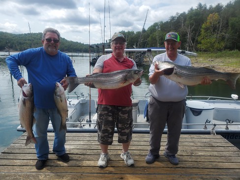 Nice Striped Bass