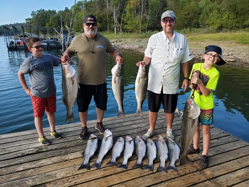 Nice Striped Bass