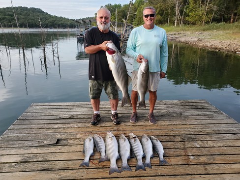 Nice Striped Bass