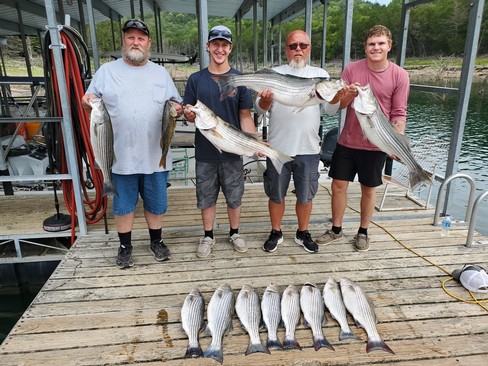 Nice Striped Bass