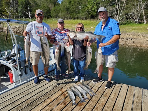 Nice Striped Bass