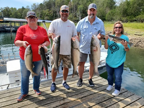 Nice Striped Bass