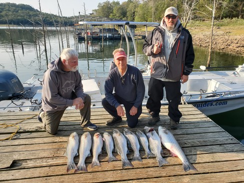 Nice Striped Bass