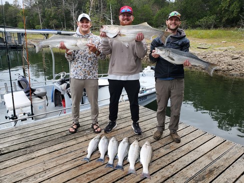 Nice Striped Bass