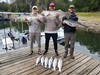 (09/13/2024) - Nice Striped Bass