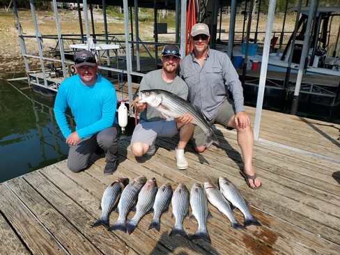 Nice Striped Bass