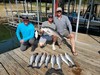 (09/22/2024) - Nice Striped Bass