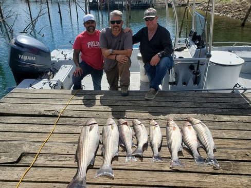 Nice Striped Bass