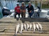 (09/30/2024) - Nice Striped Bass