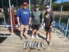 (10/06/2024) - Nice Striped Bass