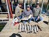 (10/07/2024) - Nice Striped Bass