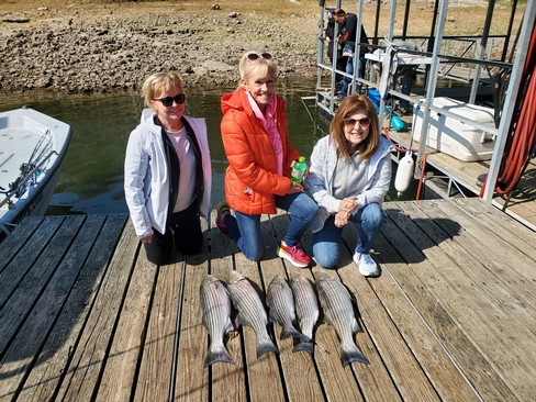 Nice Striped Bass