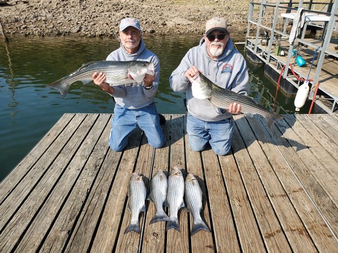 Nice Striped Bass