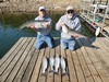 (10/09/2024) - Nice Striped Bass