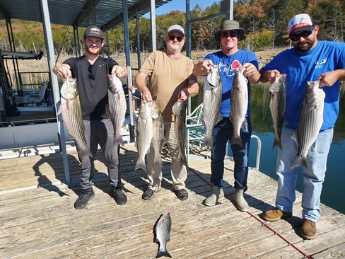 Nice Striped Bass