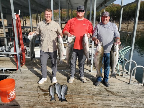 Nice Striped Bass