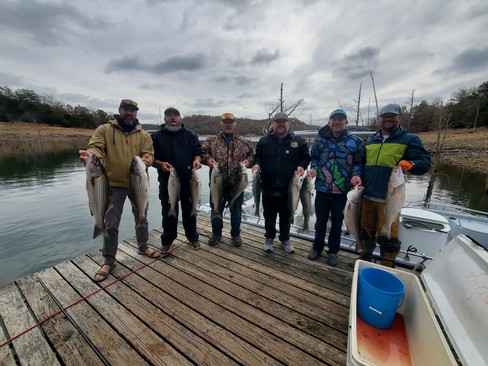 Nice Striped Bass