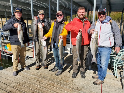 Nice Striped Bass