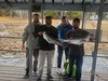 (11/03/2024) - Nice Striped Bass