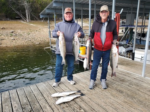 Nice Striped Bass