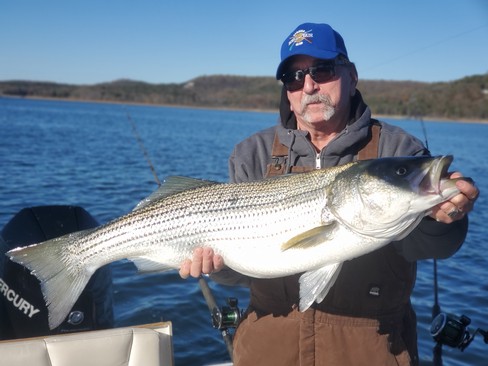 Nice Striped Bass