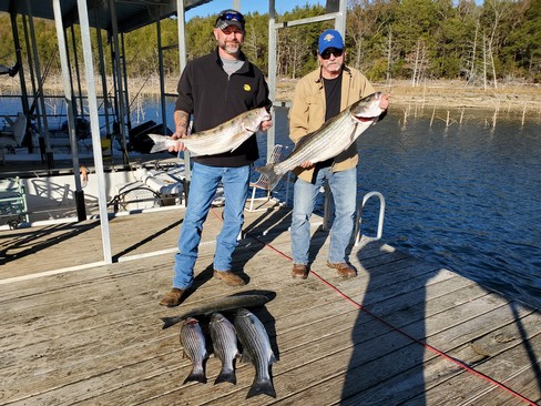 Nice Striped Bass