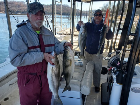 Nice Striped Bass