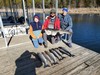 (12/11/2024) - Nice Striped Bass