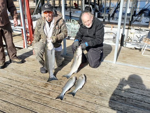 Nice Striped Bass