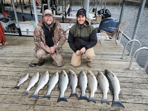 Nice Striped Bass