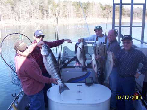 Nice Striped Bass