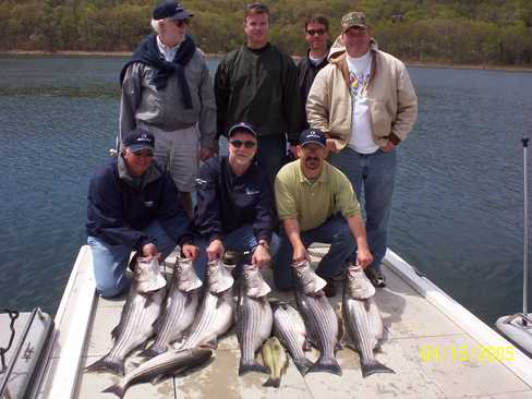 Nice Striped Bass