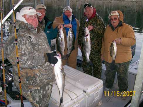 Nice Striped Bass