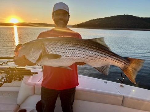 Nice Striped Bass