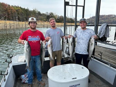 Nice Striped Bass