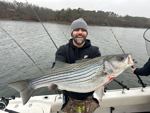 Nice Striped Bass