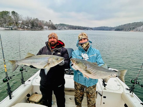 Nice Striped Bass